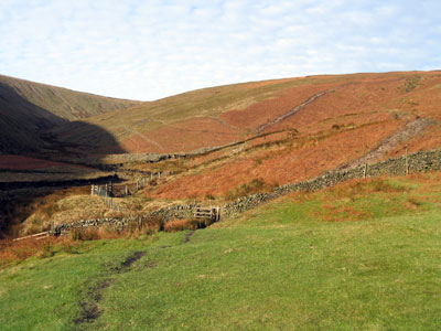 Approaching the change towards open moorland