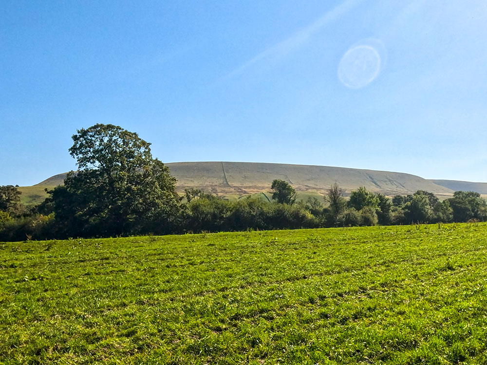 Looking across at Pendle Hill from Longlands Wood