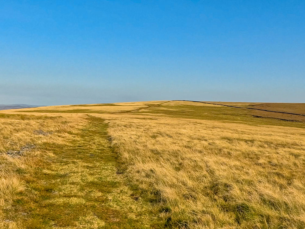 The wide grassy path heading across the top of Pendle Hill towards the next wall