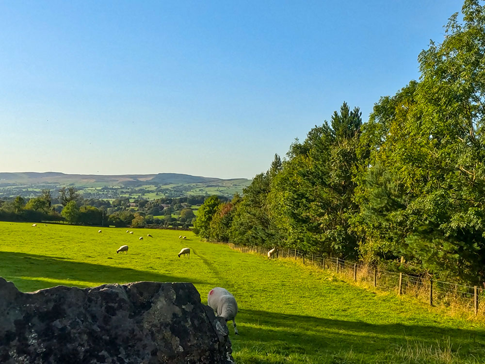 The view from the wall stile of the footpath heading down the side of the woods