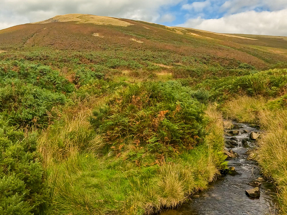 Looking back over Howcroft Brook at the path just walked down off Mearley Moor