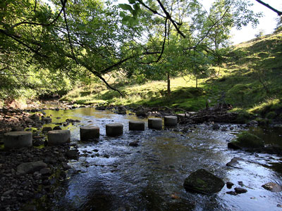 Stepping Stones